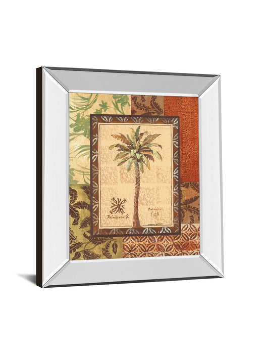 Palmaceae Il By Gregory Gorham - Mirror Framed Print Wall Art - Light Brown