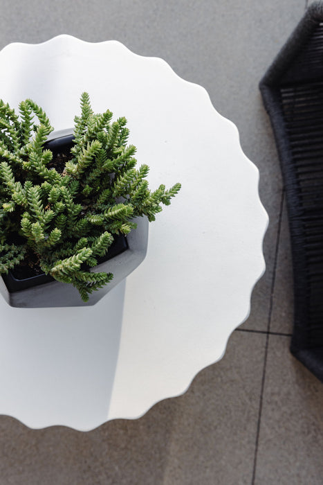 Bazaar - Athena End Table - Bone