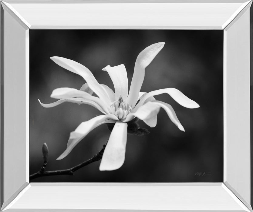 Magnolia Dreams I By Geyman Vitaly - Mirror Framed Print Wall Art - Dark Gray