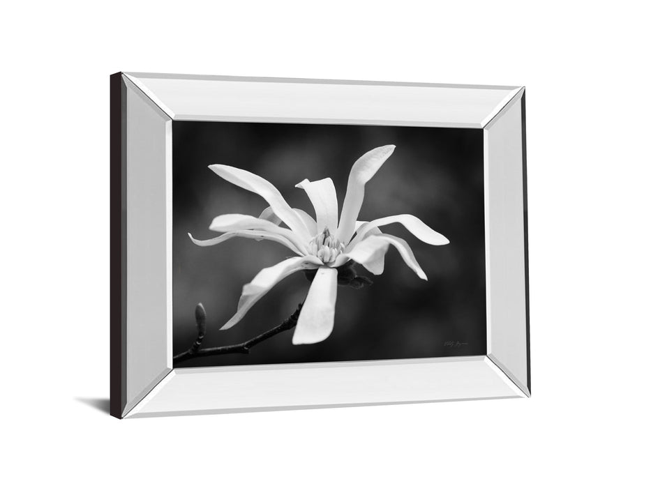 Magnolia Dreams I By Geyman Vitaly - Mirror Framed Print Wall Art - Dark Gray