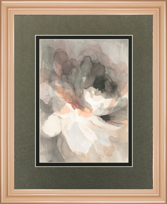 Abstract Peony By Danhui Nai - Dark Gray