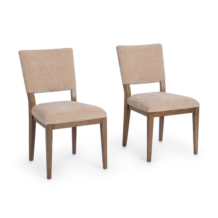 Arima - Dining Chair (Set of 2)